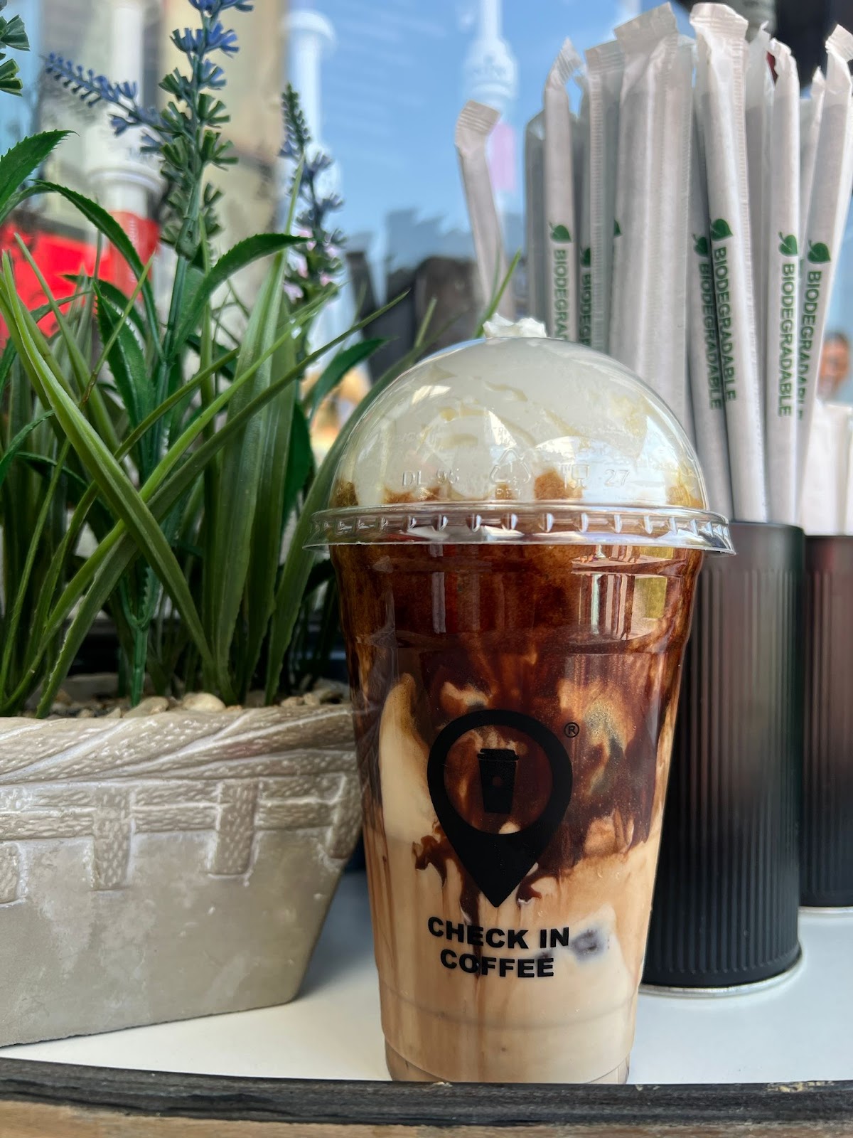 Check-In Coffee- Kaufland 3- Vivo Grill